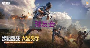 落叶堆积尴尬园林形象,市民呼吁加强园林管理 落叶堆积尴尬园林形象,市民呼吁加强园林管理