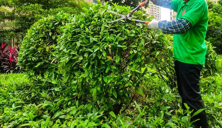 操场园林景观设计 操场园林景观设计