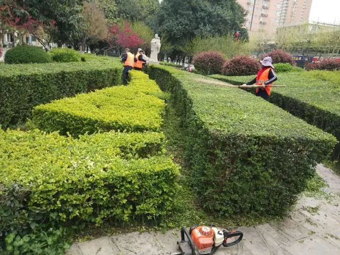 操场园林景观设计 操场园林景观设计