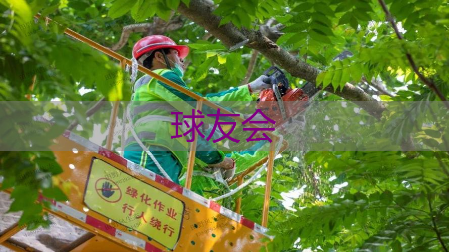 乌鲁木齐城市绿化条例 乌鲁木齐城市绿化条例
