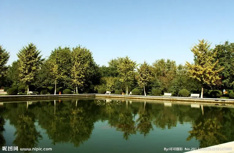 新乡城市绿化带种植什么植物比较好 新乡城市绿化带种植什么植物比较好