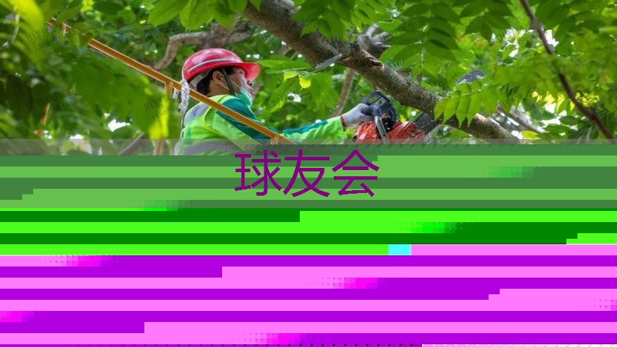 汉沽绿化市容热线 汉沽绿化市容热线