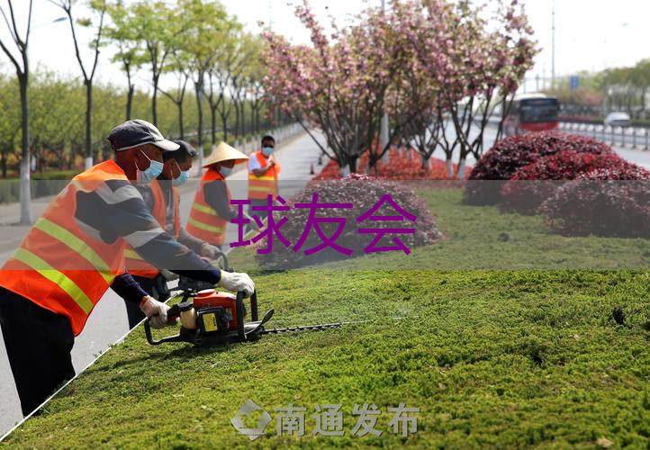 城市园林维护问题频发,市民吁加强管理力度! 城市园林维护问题频发,市民吁加强管理力度!