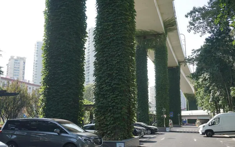 如何进行城市广场的园林绿化招标工作? 如何进行城市广场的园林绿化招标工作?